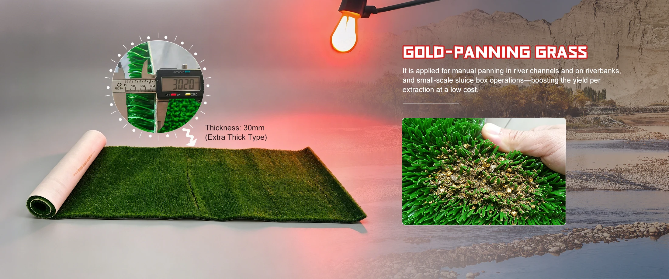 China Gold-panning Grass Manufacturer and Supplier
