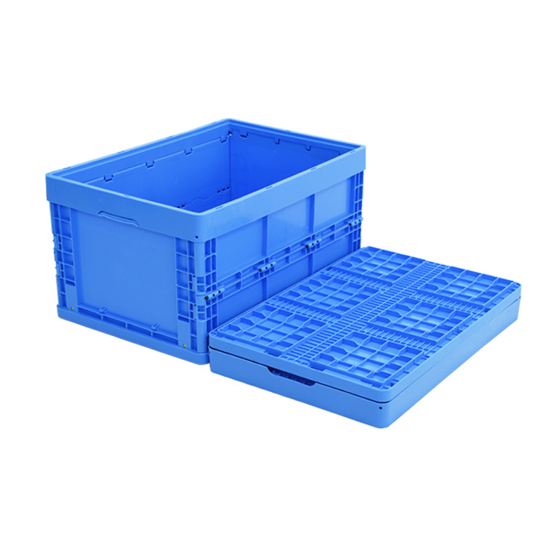 Customization available for a wide range of PP packaging products